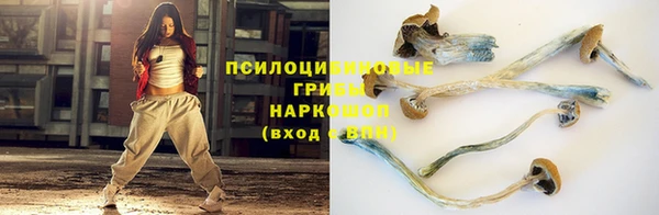 соль ск Надым