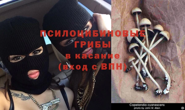 хмурый Наволоки