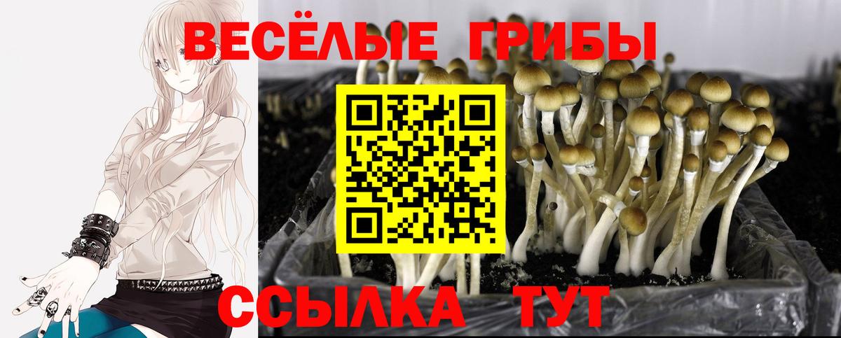 Псилоцибиновые грибы ЛСД  Вход с VPN  Ишимбай  Галлюциногенные грибы мицелий 